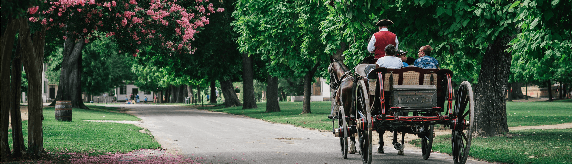 Buggy driven by man dressed in period clothing, on long lane with trees