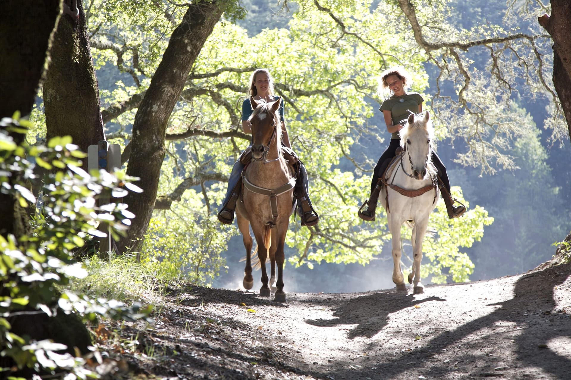 two white women riding horses on dirt path through sunny wooded area